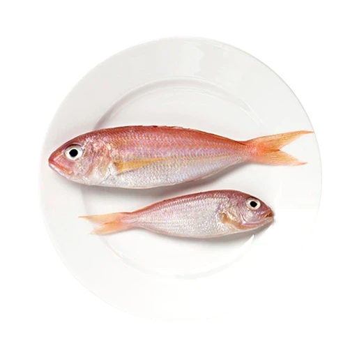 Dry Fish
